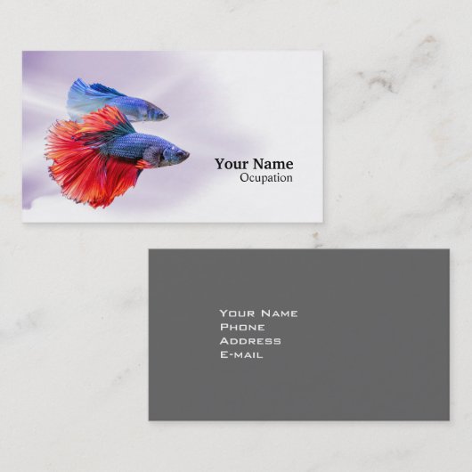 Carte De Visite Betta fish (Devant / Derrière)