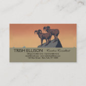 Carte De Visite Bighorn Sheep American West Wildlife (Devant)