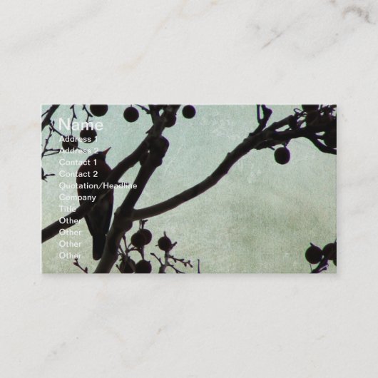 Carte De Visite Birdie 3 (Devant)