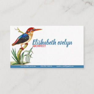 Carte De Visite Birds Kingfisher Art Vintage