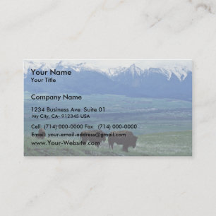 Carte De Visite Bison