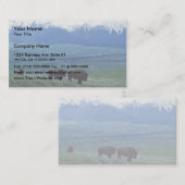 Carte De Visite Bison (Devant / Derrière)