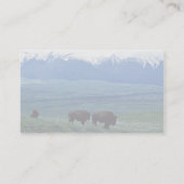 Carte De Visite Bison (Dos)