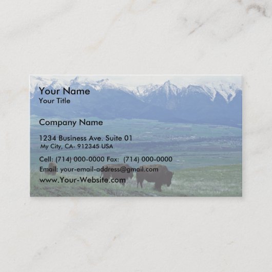 Carte De Visite Bison (Devant)