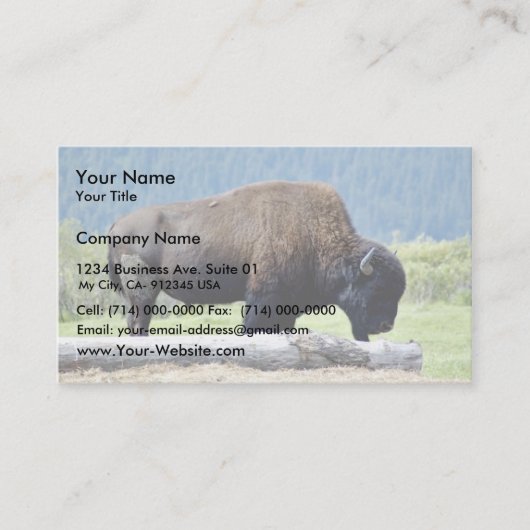 Carte De Visite Bison (Devant)