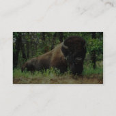 Carte De Visite Bison (Dos)