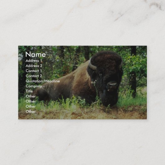 Carte De Visite Bison (Devant)
