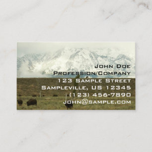 Carte De Visite Bison à Grand Teton National Park Photographie
