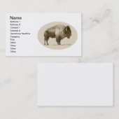 Carte De Visite Bison américain (Devant / Derrière)