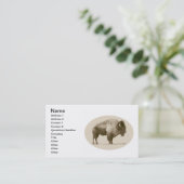 Carte De Visite Bison américain (Debout devant)