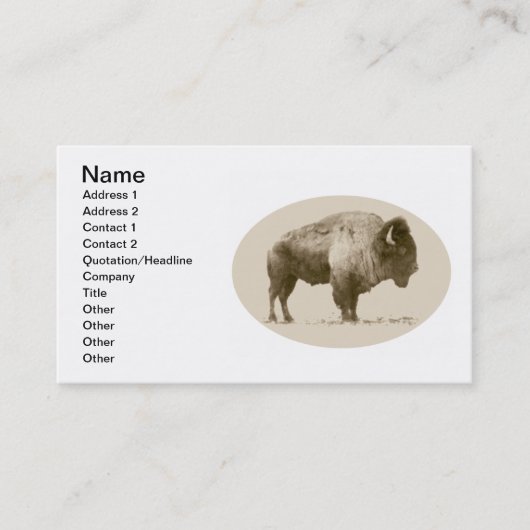 Carte De Visite Bison américain (Devant)