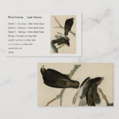 Carte De Visite Black Warrior (Buse à queue rouge) d'Audubon Birds (Devant / Derrière)