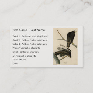Carte De Visite Black Warrior (Buse à queue rouge) d'Audubon Birds