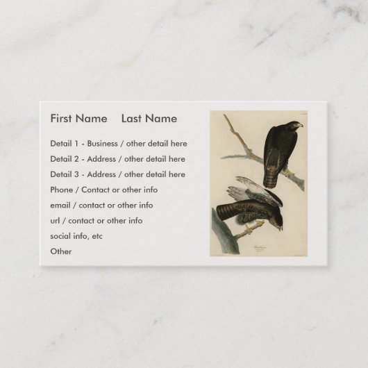 Carte De Visite Black Warrior (Buse à queue rouge) d'Audubon Birds (Devant)