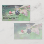 Carte De Visite Blackberry (Devant / Derrière)