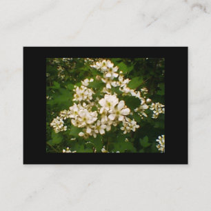 Carte De Visite Blackberry Blossom