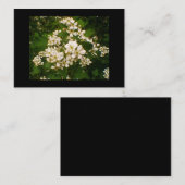 Carte De Visite Blackberry Blossom (Devant / Derrière)