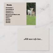 Carte de visite blanc de cerfs communs (Devant / Derrière)