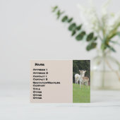 Carte de visite blanc de cerfs communs (Debout devant)