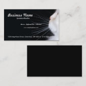 Carte de visite blanc de chat (Devant / Derrière)