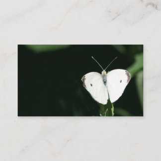 carte de visite blanc de papillon