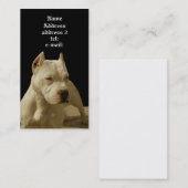 Carte de visite blanc de pitbull (Devant / Derrière)