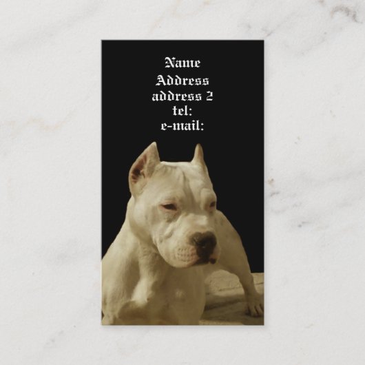 Carte de visite blanc de pitbull (Devant)