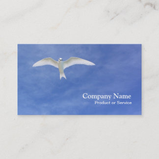 Carte de visite blanc de sterne