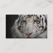 Carte de visite blanc de tigre (Dos)