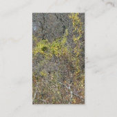 Carte De Visite Blanc et bleu rouges (Dos)