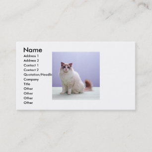 Carte de visite blanc et Brown de chat