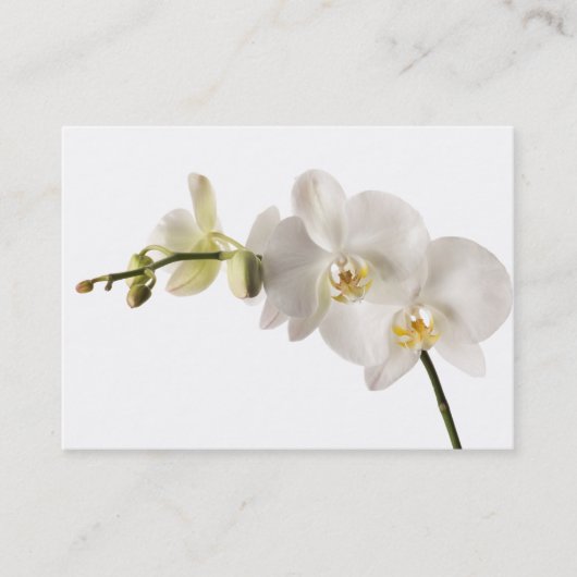 Carte De Visite Blanc floral de Dendrobium d'orchidée de jet blanc (Devant)