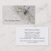 Carte de visite bleu de libellule (Devant / Derrière)