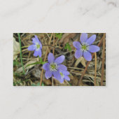 Carte de visite bleu doux Hepatica (Dos)