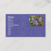 Carte de visite bleu doux Hepatica (Devant)