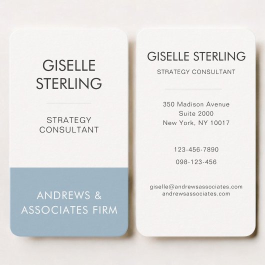 Carte De Visite Bleu Professionnel