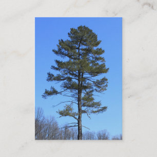 carte de visite bleue d'arbre de Noël à feuilles p