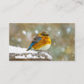 Carte De Visite Bleuet de l'Est en neige - Photo originale (Dos)