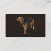 Carte De Visite Bloodhound (Dos)
