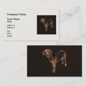 Carte De Visite Bloodhound (Devant / Derrière)