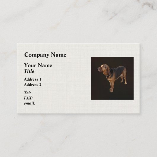 Carte De Visite Bloodhound (Devant)