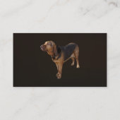 Carte De Visite Bloodhound (Dos)