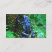 Carte De Visite blue-frog-1.jpg (Dos)