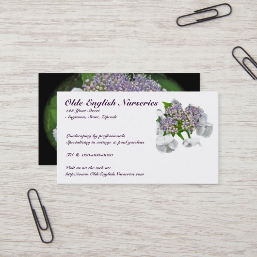 Carte de visite Blue Lace Hydrangea (Devant/Arrière en situation)