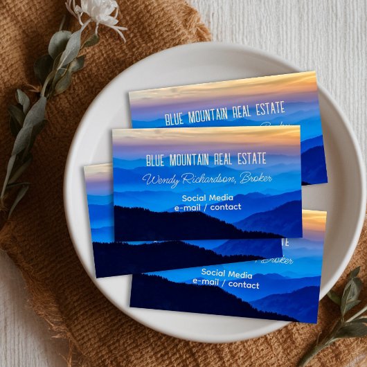 Carte De Visite Blue Mountain View Services professionnels