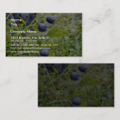 Carte De Visite Blueberries aux Feuilles verts (Devant / Derrière)