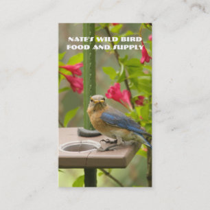 Carte De Visite Bluebird