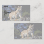Carte De Visite Bobcat (Devant / Derrière)