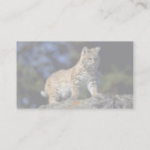 Carte De Visite Bobcat (Dos)