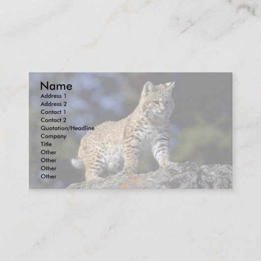 Carte De Visite Bobcat (Devant)